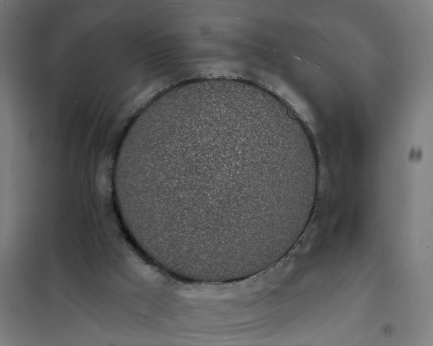 X0000101690009200807241419