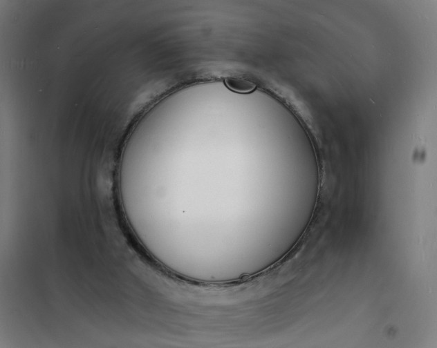 X0000101690010200807241419