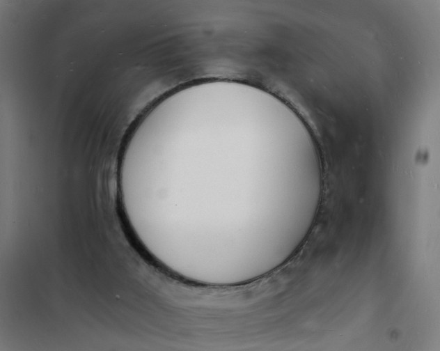 X0000101690011200807241419