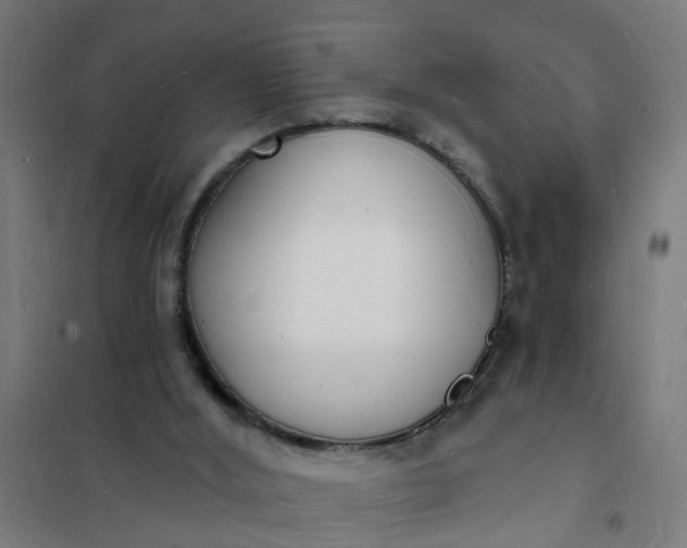 X0000101690012200807241419