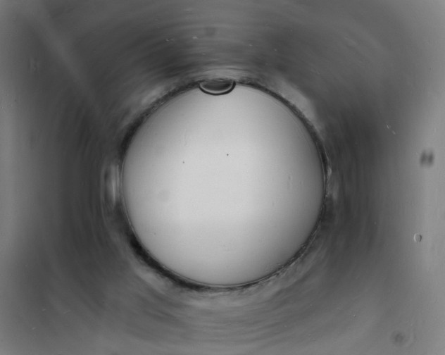 X0000101690013200807241419