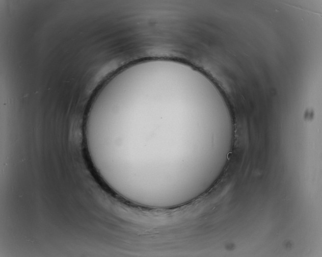 X0000101690015200807241419