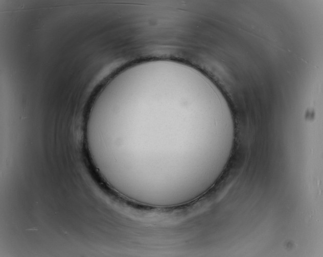 X0000101690016200807241419