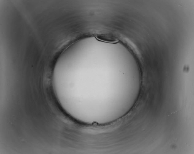 X0000101690017200807241419