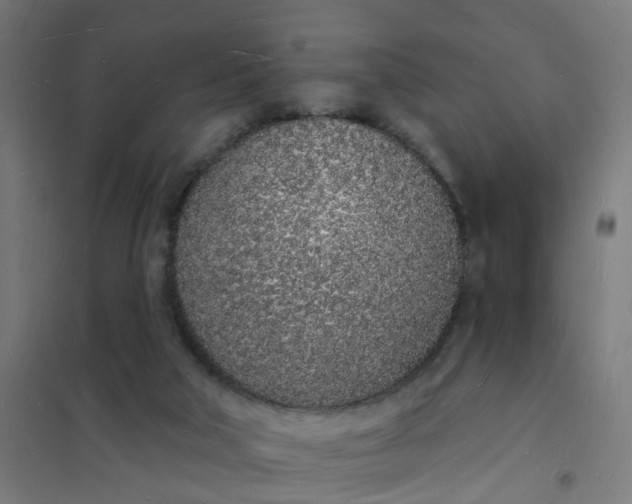 X0000101690018200807241419