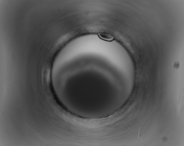 X0000101690019200807241419