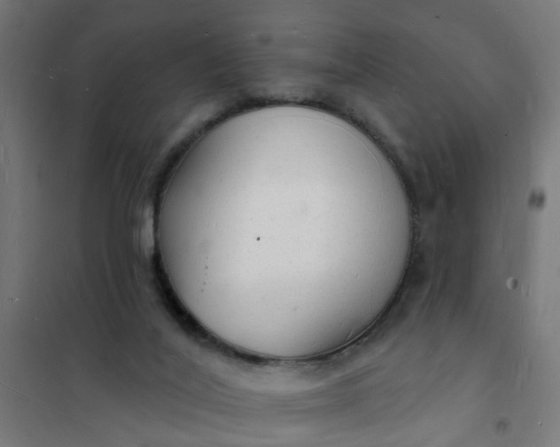 X0000101690020200807241419