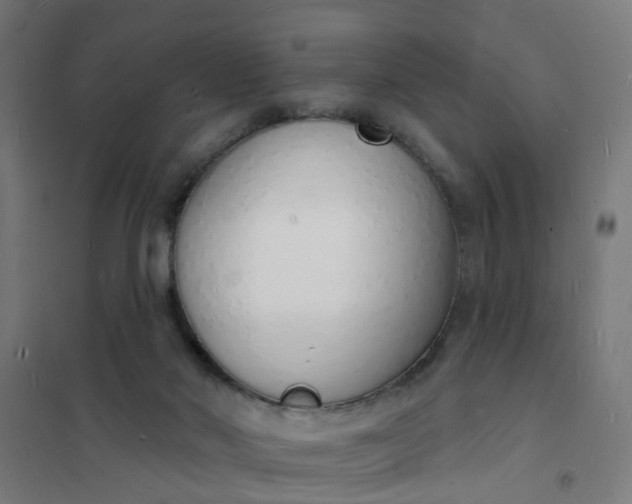 X0000101690022200807241419