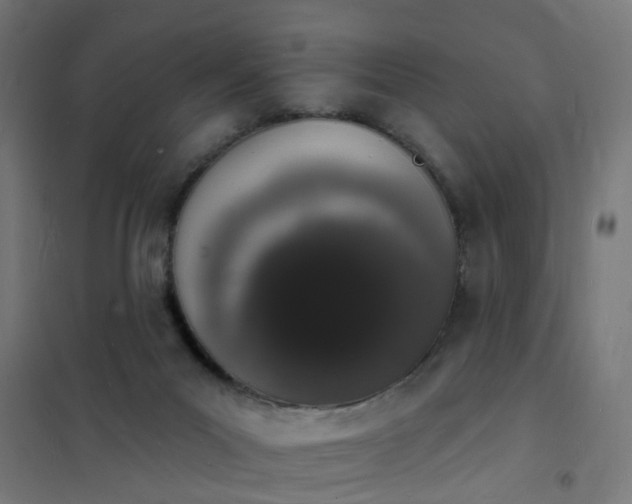 X0000101690023200807241419