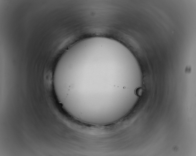 X0000101690024200807241419