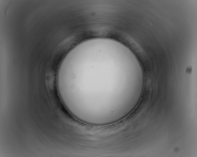 X0000101690026200807241419