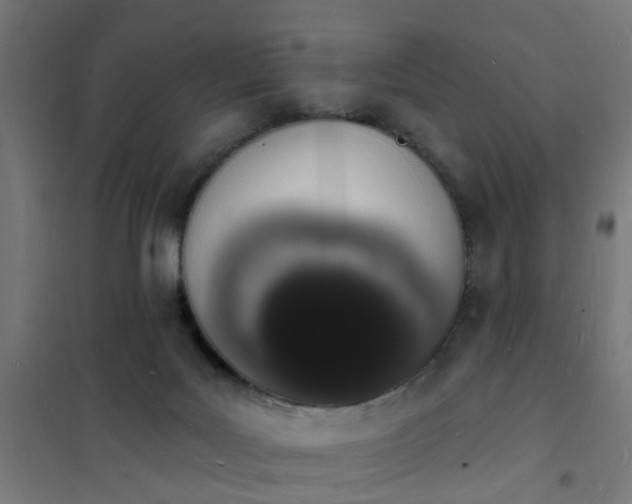 X0000101690027200807241419