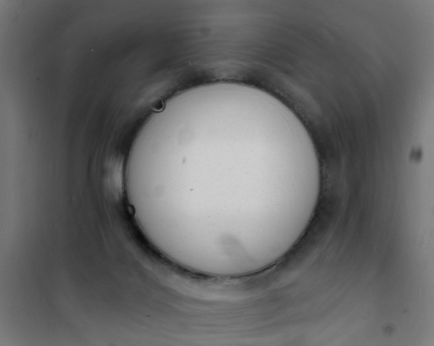 X0000101690028200807241419