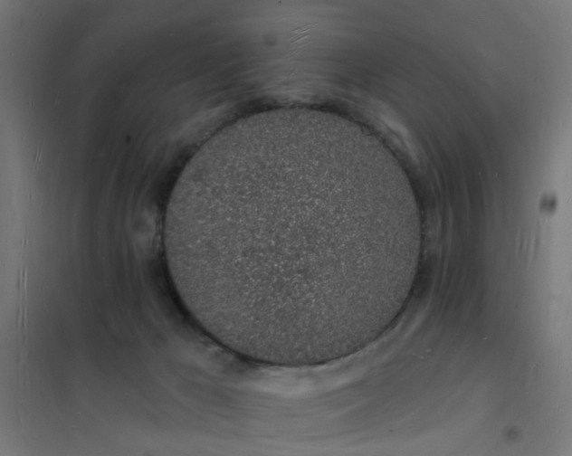 X0000101690029200807241419