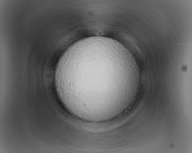 X0000101690030200807241419