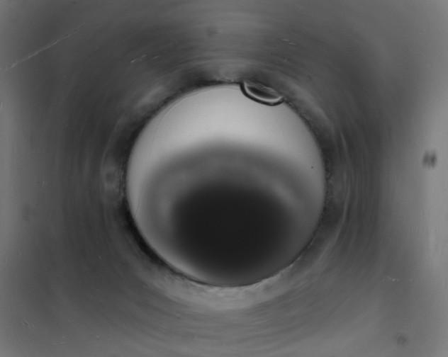 X0000101690031200807241419