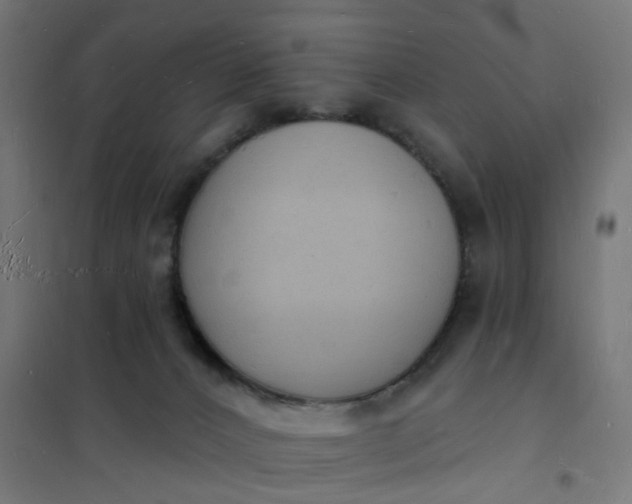 X0000101690032200807241419