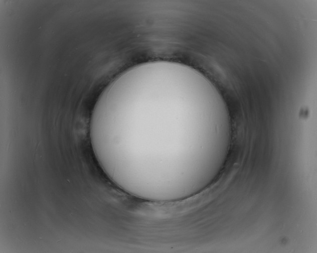 X0000101690033200807241419