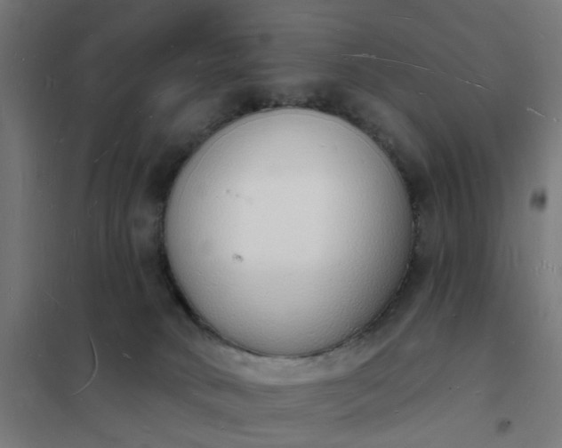 X0000101690034200807241419