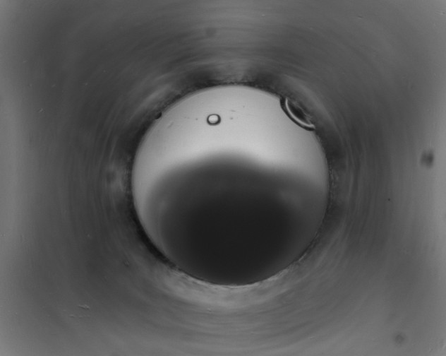 X0000101690035200807241419