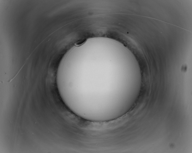 X0000101690037200807241419