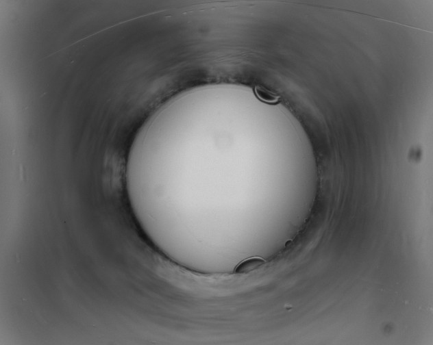 X0000101690038200807241419