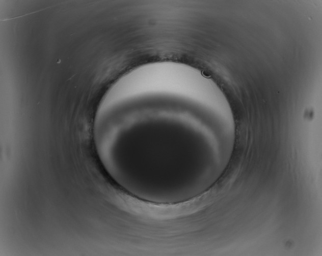 X0000101690039200807241419