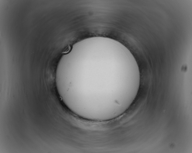 X0000101690040200807241419