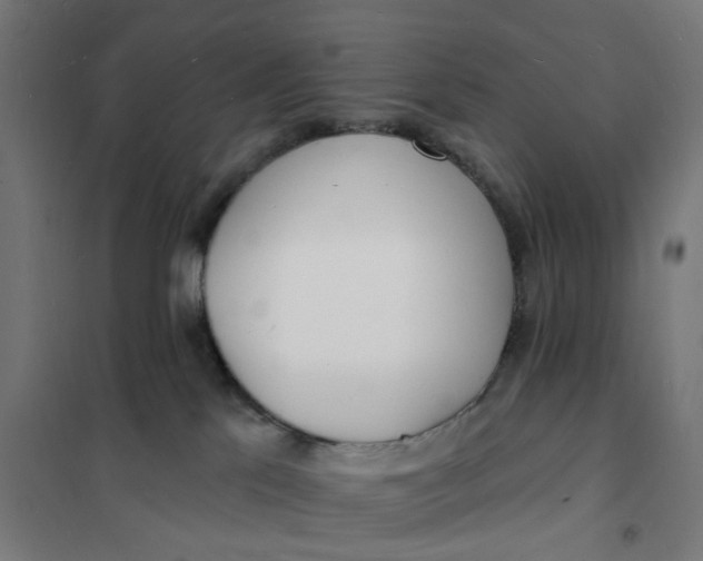 X0000101690041200807241419