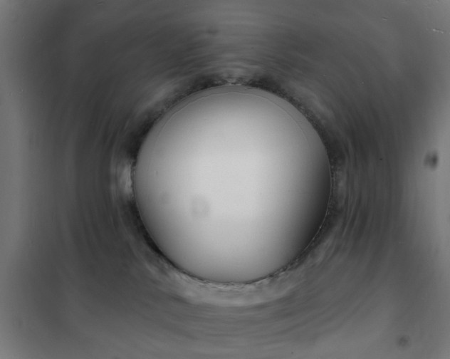 X0000101690042200807241419