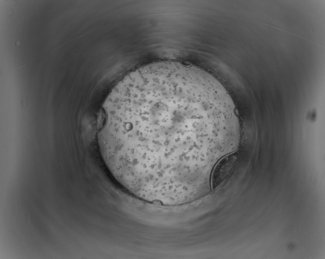 X0000101690043200807241419