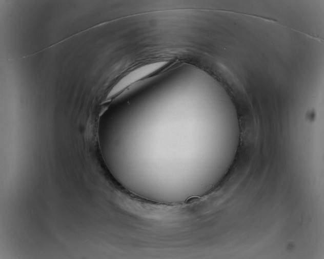 X0000101690044200807241419