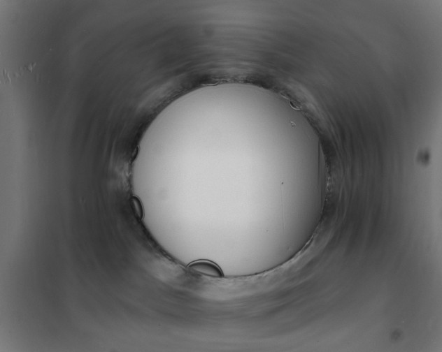 X0000101690045200807241419