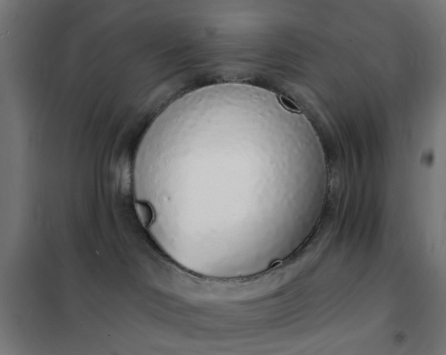 X0000101690046200807241419