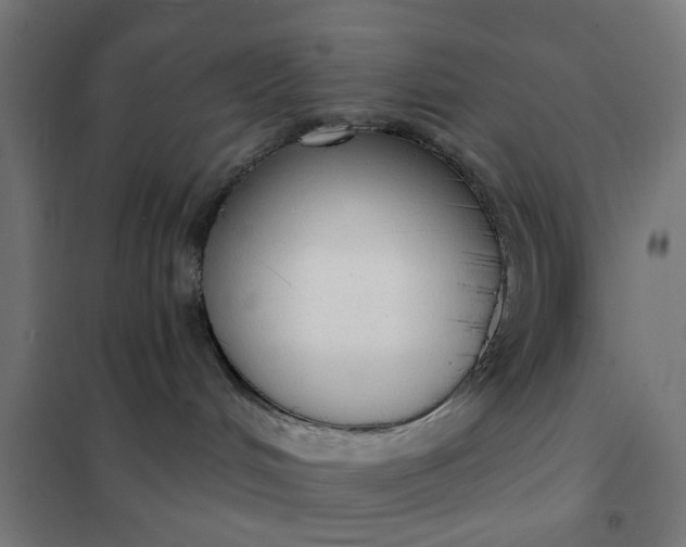 X0000101690048200807241419