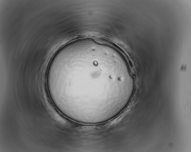 X0000101690049200807241418