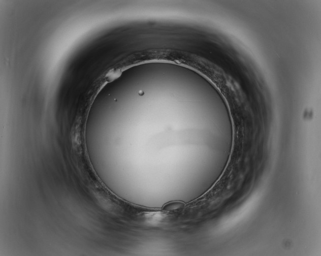 X0000101690050200807241418