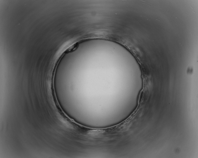 X0000101690051200807241418