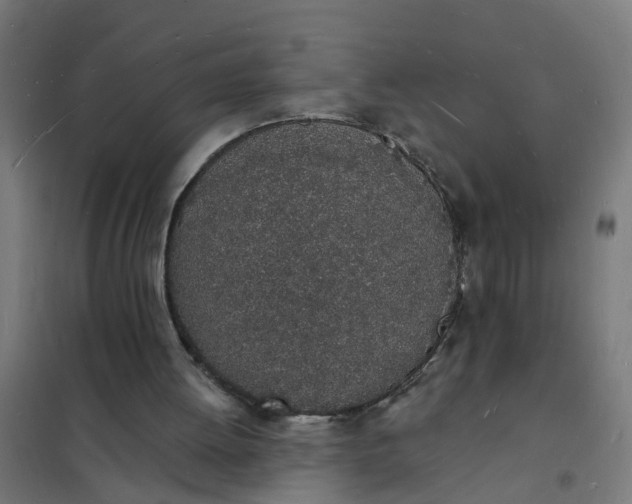 X0000101690052200807241418