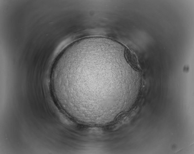 X0000101690053200807241418