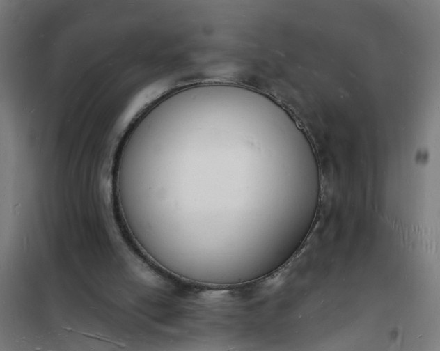 X0000101690054200807241418