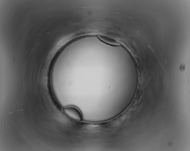 X0000101690055200807241418