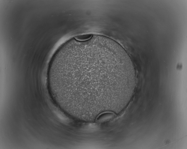 X0000101690056200807241418