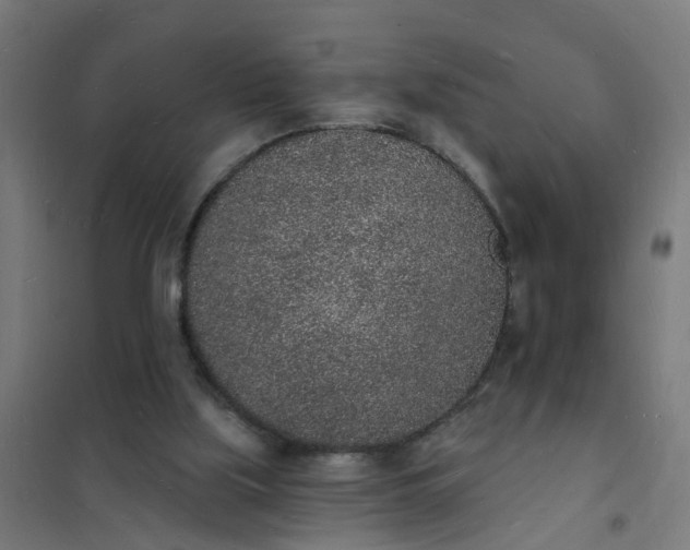 X0000101690059200807241418