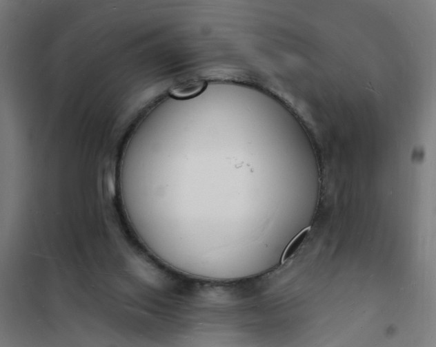 X0000101690062200807241418