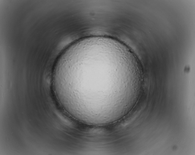 X0000101690063200807241418