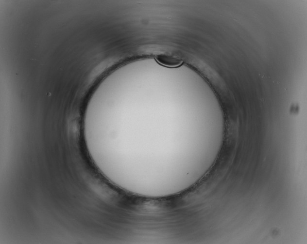 X0000101690064200807241418