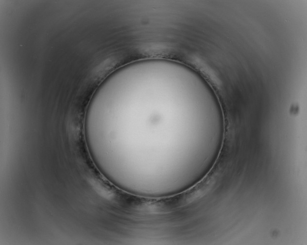 X0000101690065200807241418