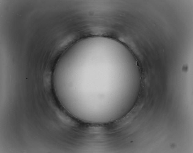 X0000101690066200807241418