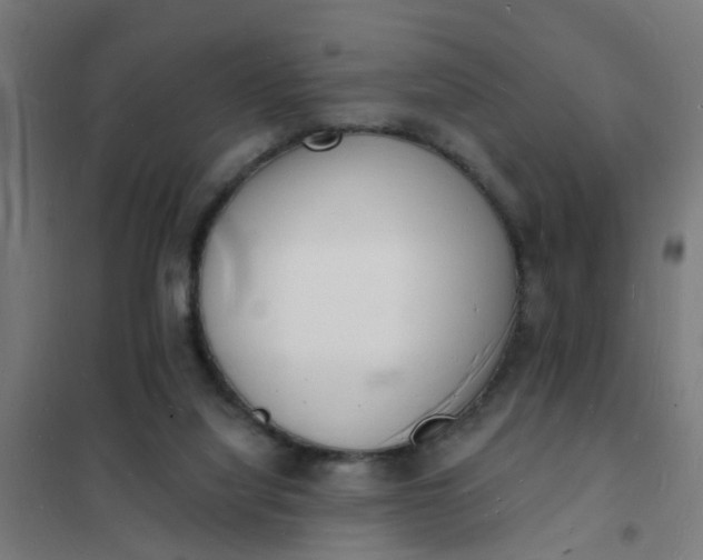 X0000101690068200807241418